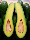 BƠ SÁP 034 (3 TRÁI/KG)