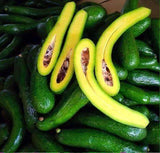 BƠ SÁP 034 (3 TRÁI/KG)