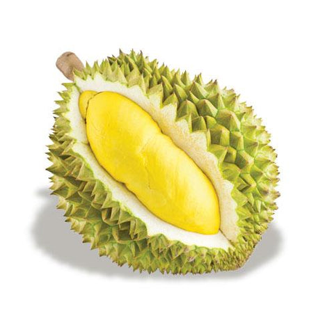 SẦU RIÊNG RI 6