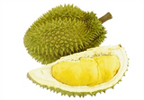 SẦU RIÊNG RI 6